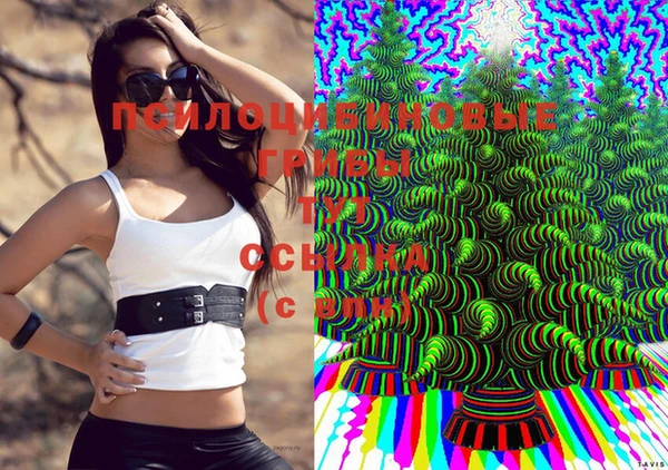 трава Володарск