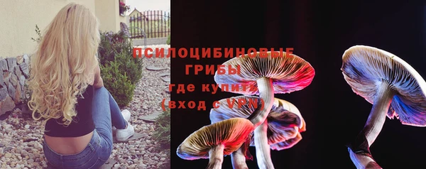 spice Снежинск
